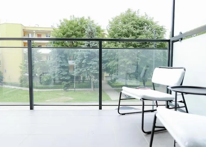 W Centrum Rzeszowa رشيشوف